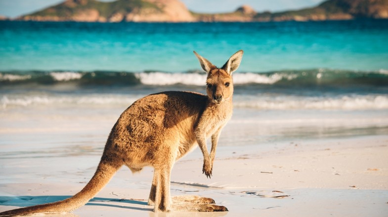 Kangaroo Island