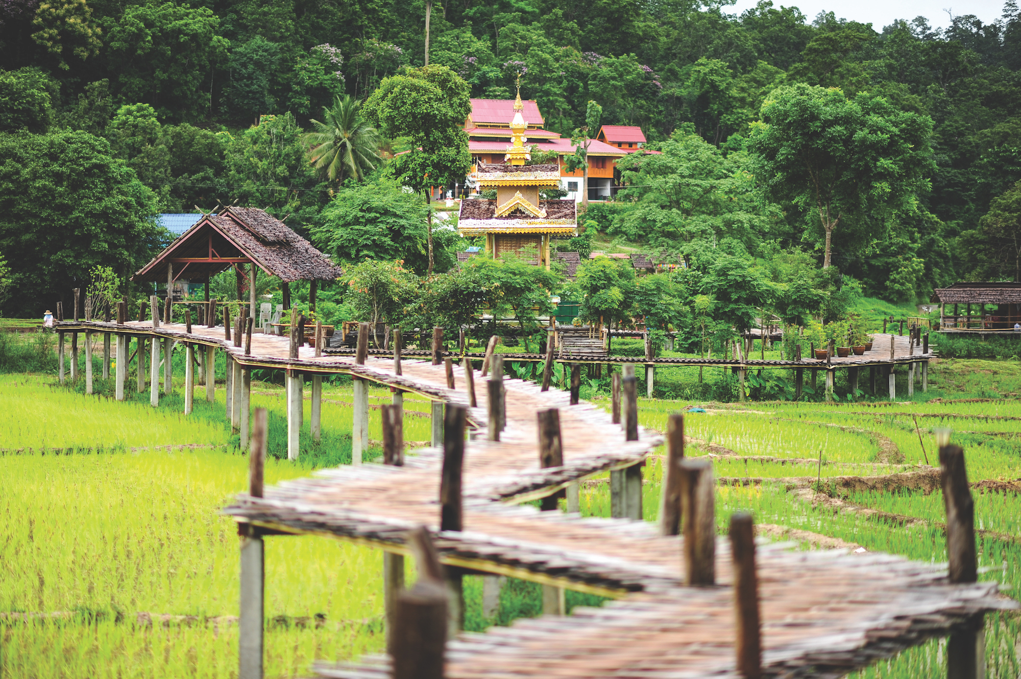 , The Top 10 Places to Go in Thailand, Phenomenal Place