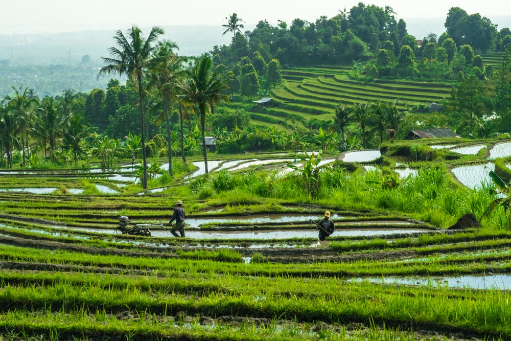 , The Top 10 Places to Go in the Philippines, Phenomenal Place