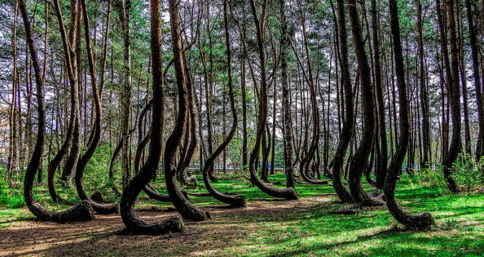Mysterious Places, Top 10 Most Mysterious Places in the World (Updated 2021), Phenomenal Place