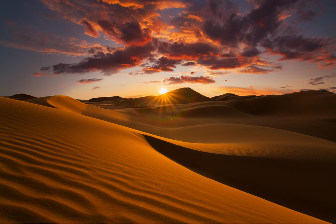 Sahara Desert